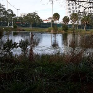 Meet your Posher, Lily